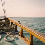 Lire la suite à propos de l’article Pourquoi Cap vers Gaïana ?